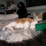 Beverly Menier - @beverlymenier - Instagram