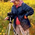 Beverly Mertz - Facebook