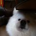 Beverly Messick - Facebook