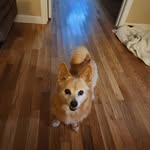 Beverly Meyers - @beverlymeyers135 - Instagram