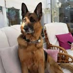 Beverly Michael - @beverly.michael.7568 - Instagram