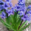Beverly Mickowski - @beverly.mickowski - TikTok