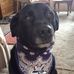 Bev Mickelson - Facebook