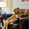 Beverly Milligan Hamel - @beverly.milligan - TikTok