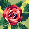 beverleymilner8 - @beverleymilner8 - TikTok