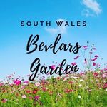 Beverly Morris - @bevlarsgarden_southwales - Instagram