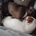 Beverly Morris - @beverly.morris.1671 - Instagram