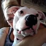 Beverly Moses - @beverlymoses2018 - Instagram