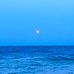 Beverly Moss - Facebook