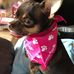 Beverly Nanney - Facebook