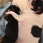 Beverly Nanney - @beverly.nanney.56 - Instagram
