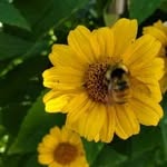 Beverley Neufeld - @beverleyneufeld - Instagram
