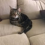 Beverly Nicckerson - @beverlynickerson524 - Instagram