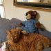 Beverly Nickerson - Facebook