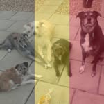 Beverley Nottingham - @beverleynottingham - Instagram