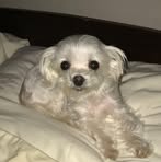 Beverly Nottingham - Facebook