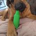 Deborah Oldendorf - Facebook