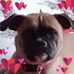 Beverly Patton - Facebook