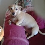 Beverly Perdue Reed - @perduereed - Instagram