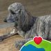Beverly Peffer - Facebook