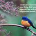 Beverly J Potts - Facebook