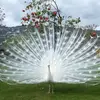 Beverly Potts - @beverly.potts8 - TikTok