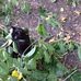 Beverly Prentice - Facebook