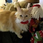 Beverly Prentice Jenks - @beverlyjenks - Instagram