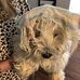 Beverly Ray - Facebook