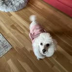 Beverly Redman - Facebook