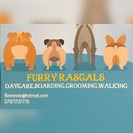 Beverley Rennie - @furryrascalsdogs - Instagram