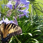Beverly Richards Reinke - @reinke5998 - Instagram