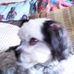 Beverly Rishel - Facebook