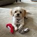 Bev Risner - Facebook
