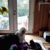 Beverly Ritz - Facebook