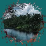 Beverly Roane - @beverlyroane8462 - Instagram