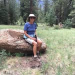 Beverly Robb - @phxarthrobb - Instagram