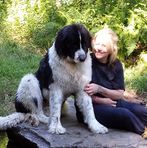 Bev Robitaille - Facebook