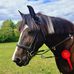 Bev Robotham - Facebook