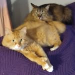 Beverly Rogers - @beverly.rogers.3386585 - Instagram