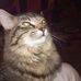 Bev Rohr - Facebook