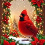 Beverly Roof - Facebook