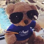 Beverly Rook - @bevegas - Instagram