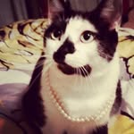 Beverly Roper - @roperbev25 - Instagram