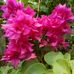 Beverly Roper - Facebook