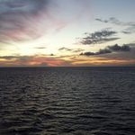 Beverly Rosenberg - @bevrosenberg - Instagram