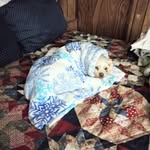 Beverly Rossi - @beverlygrossi1253 - Instagram