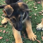 Beverly Rossi - @beverly.a.rossi - Instagram