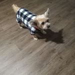 Beverly Roth - @beverly.roth.792 - Instagram