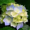 beverly roundtree - @beverly.roundtree1 - TikTok